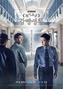 雾港追光者 热播电视剧全集在线观看