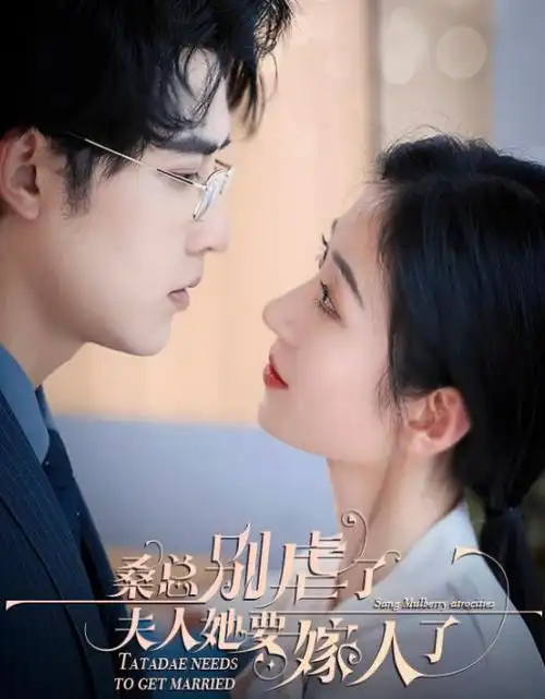 长街灯火 年代剧全集免费观看